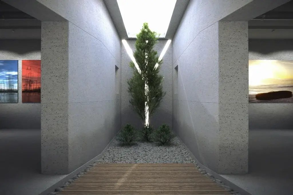Maximizing Natural Light in Your Home with Skylights