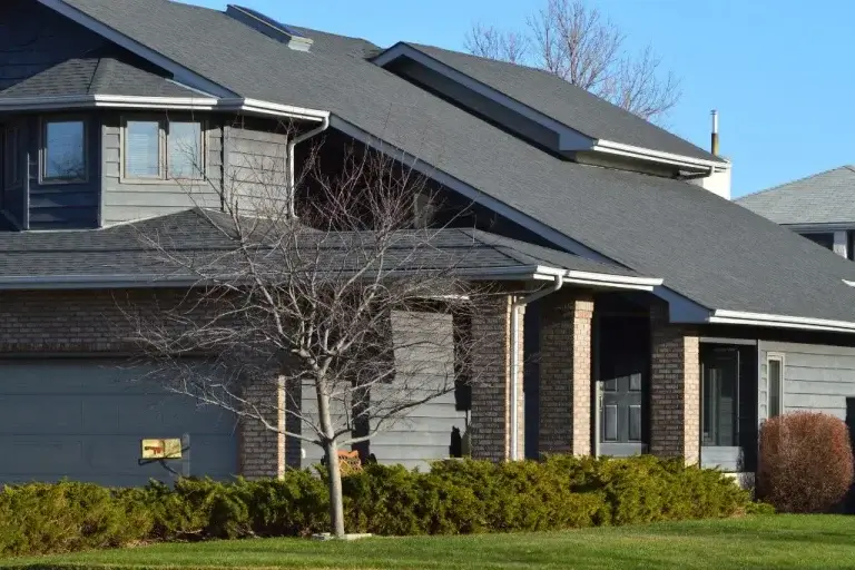 common roof issues