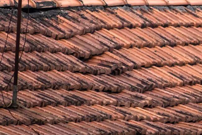fix or replace roof if it gets worse