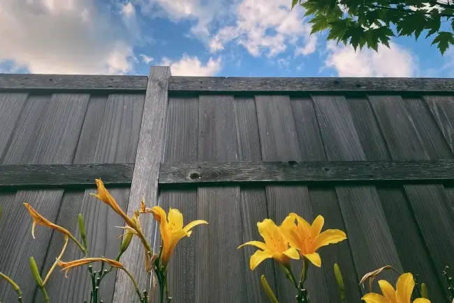 wooden privacy fence