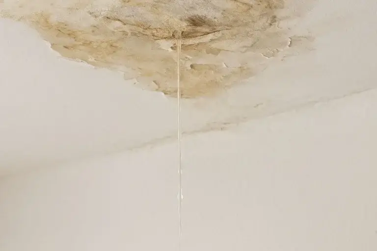 strategies for dealing with roof leaks and water intrusion