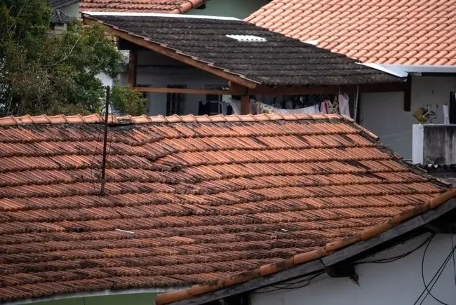 dmagaed roof shingles