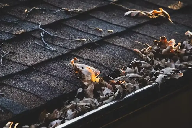 clogged roof gutters