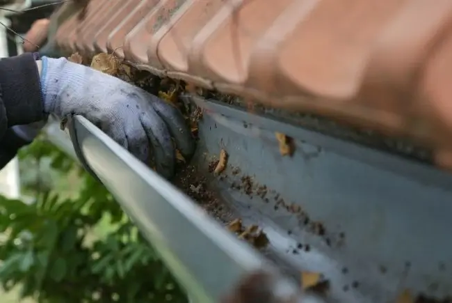 person cleaning gutters