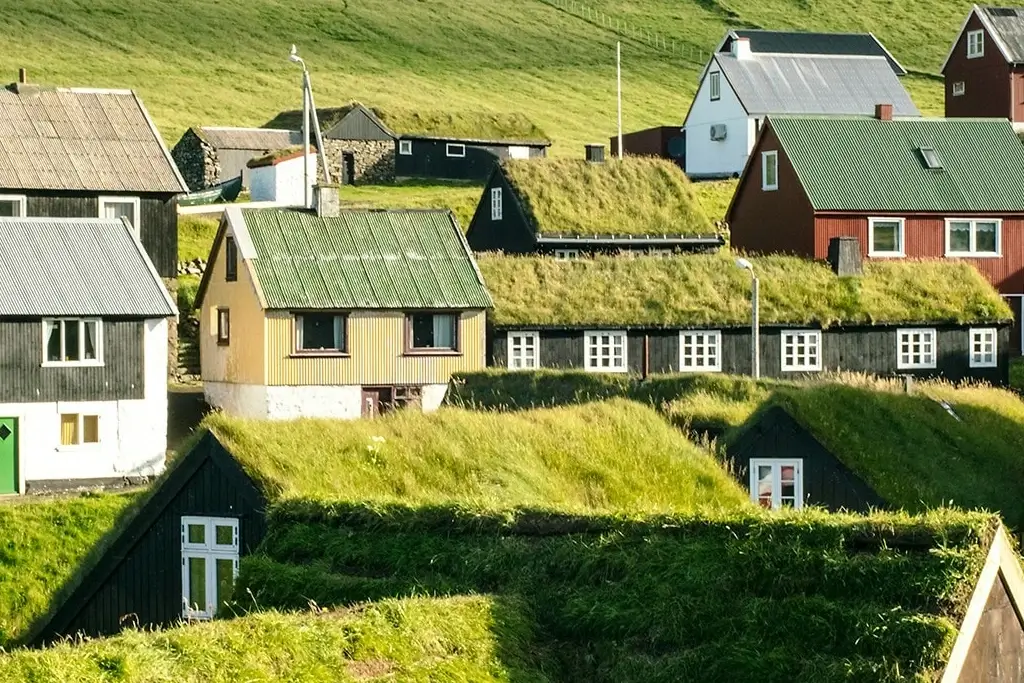 green roofs for residential homes sustainable living