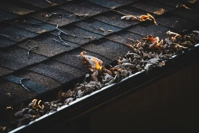 clogged gutters