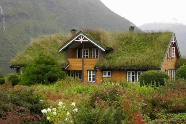 wooden house with a green roof