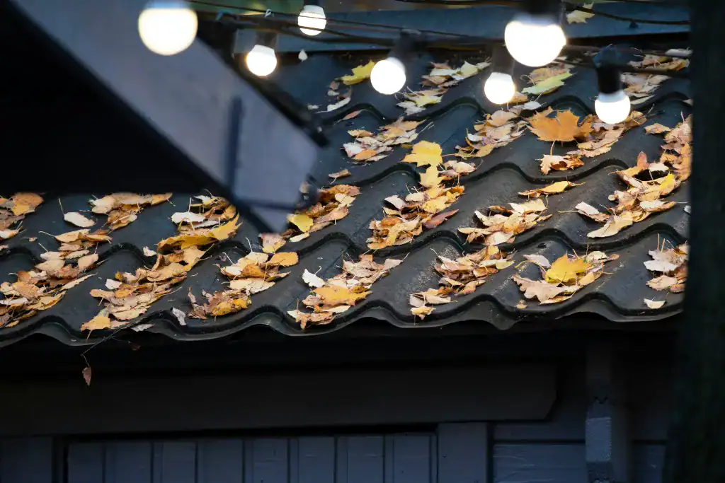 Fall Roof Maintenance Essentials