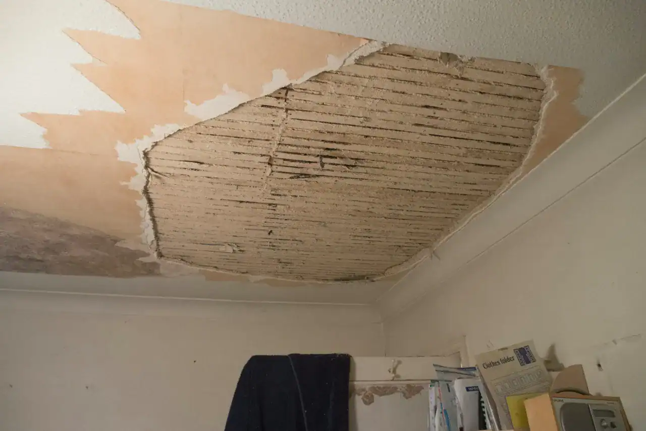 Spotting & Fixing Roof Leaks Fast