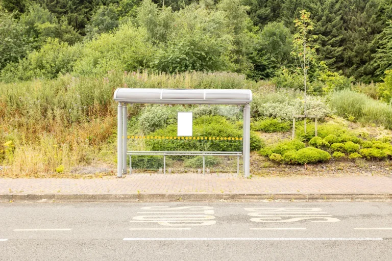 Roadside bus shelter with a bench beside a grassy verge